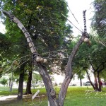 №-91-1024x768